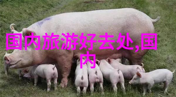 保山有哪些景点能像渝北印盒李花生态旅游区那样吸引游客