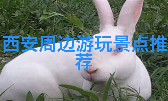 东江湖住住宿小垸探秘江南水乡的隐秘休憩胜地