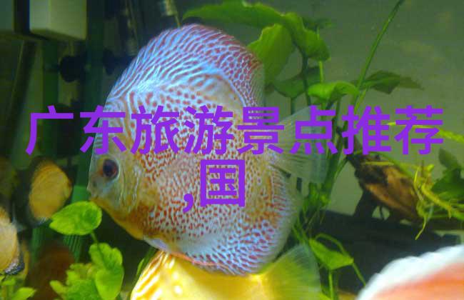 夜晚驾驶中的奇响疼痛与欢呼的交响曲