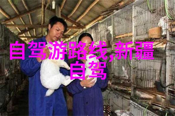 全国疫情动态31省区市最新防控措施与病例统计