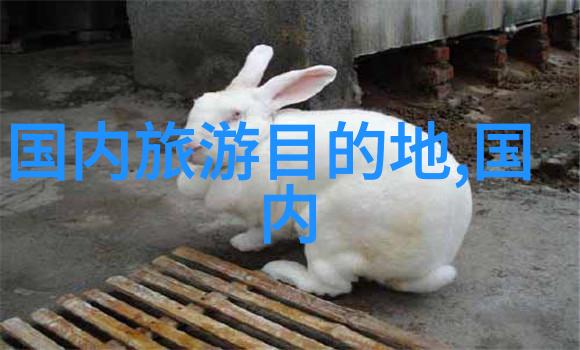 艾曼妞3爱的课程女生团体真人秀娱乐节目第三季情感成长教育
