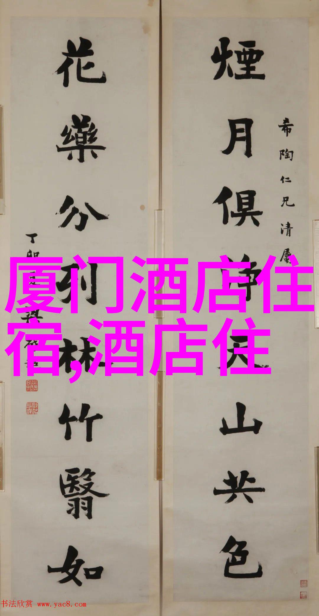 全球探秘国际旅游团的奇遇与风情