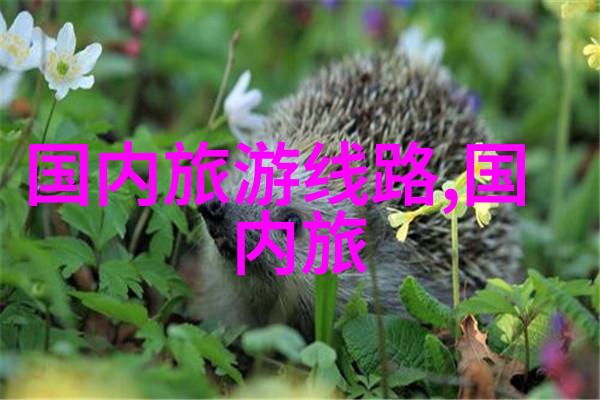 上海居住选择最佳居住区域推荐