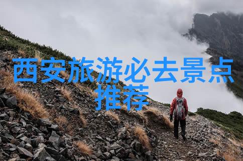 社会文化深度融合2019年度内地居民参与乡村旅游活动增加这背后有哪些深层原因