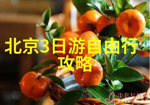 三日游探秘寻找城市的未知角落