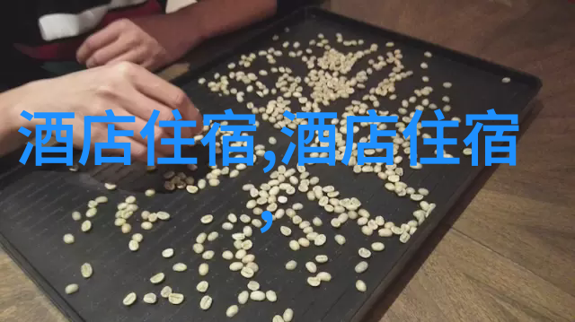 旅游资讯喜迎十八年春节出行攻略