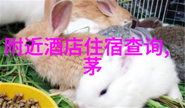 探秘雅安美景揭秘市内最具魅力的旅游景点