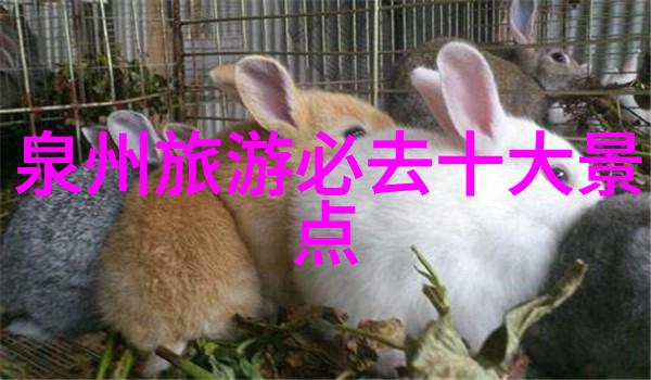 沙漠风暴与草原梦内蒙古自驾游的逆袭之旅