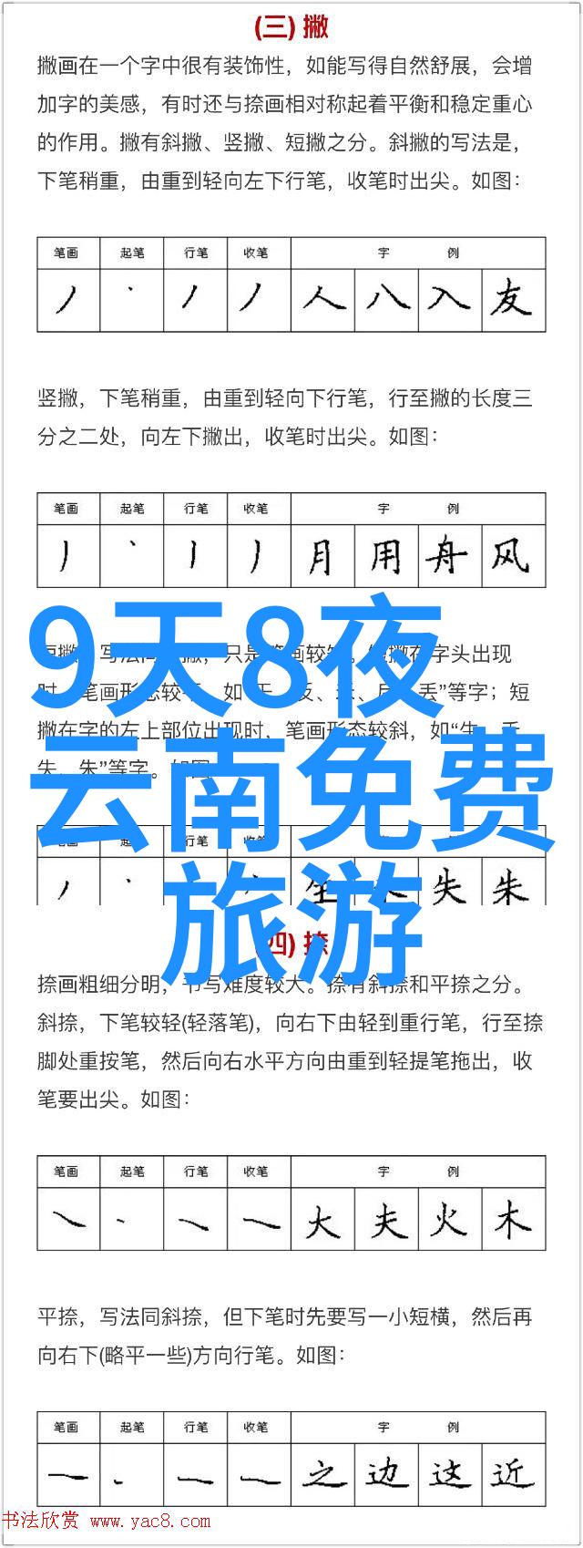 如何有效地将户外拓展训练融入儿童教育体系