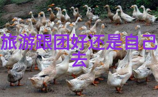 虚拟现实用100万万字塑造一个未来社会的蓝图