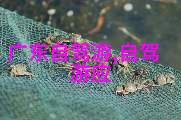 国外风景我在巴黎的那段时光雨后彩虹下的塞纳河畔漫步
