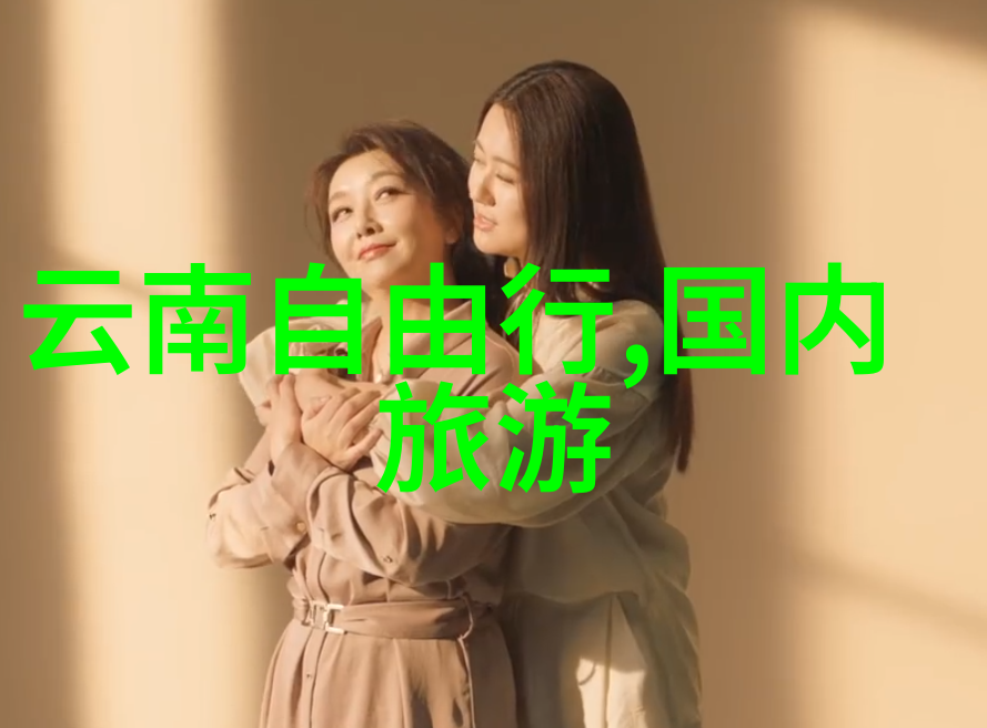 国家旅行大使揭秘全国导游证官网门户