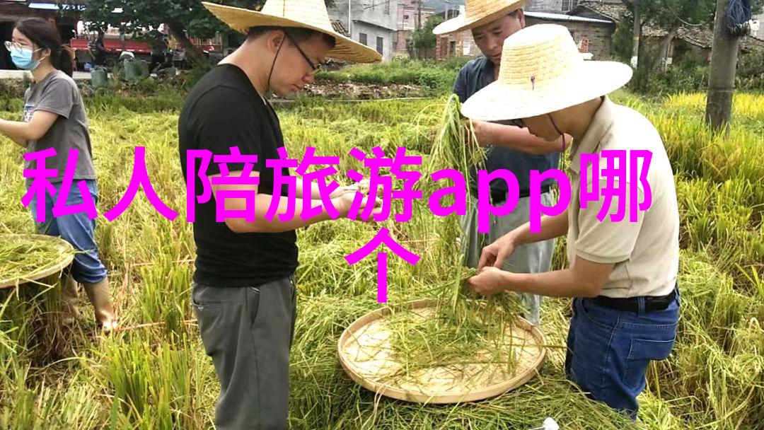 自驾游俱乐部-探索未知我们的旅途故事