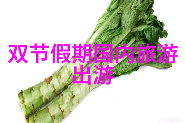 游学优秀作文-外国风光下的内心旅程我的游学日记