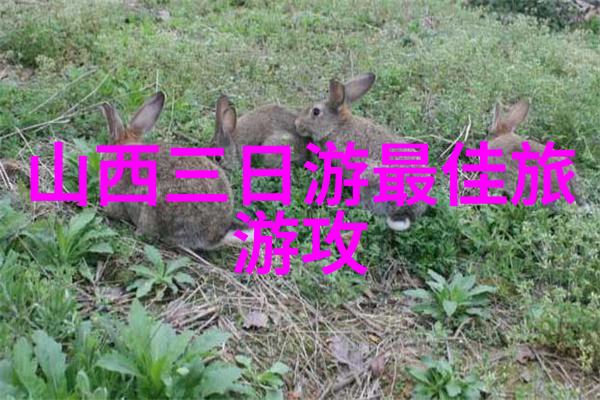 山水甲天下北京周边自然风光自驾行记