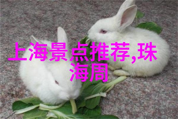 主题-几天不见这么多水想不想要探索城市居民对水资源的新需求