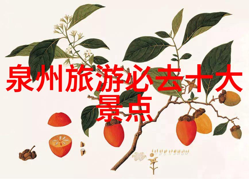 西北戎风与丝绸之路探秘古城幽径与现代都市的反差旅行