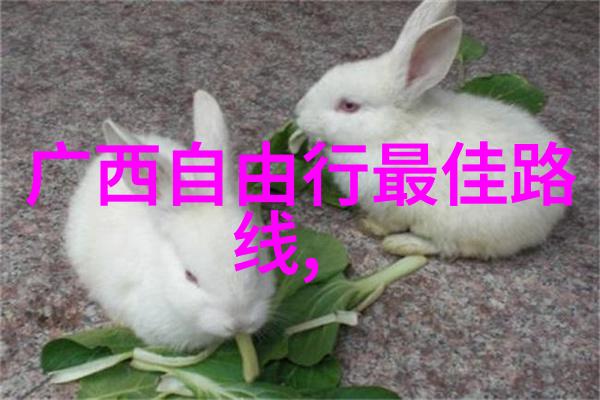 丹霞奇观绚烂多彩的地貌瑰宝