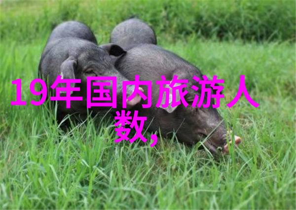 历史沉淀重走古迹寻找往昔的痕迹