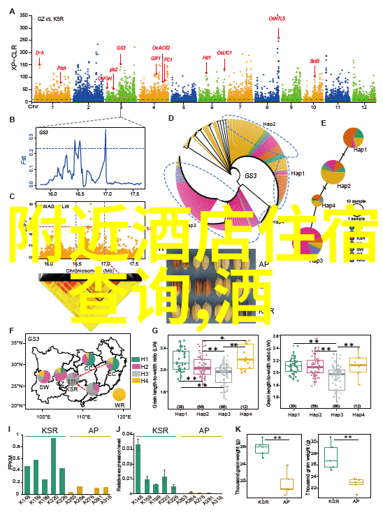 十大出境游的最佳时节是什么时候能避免拥挤和高价