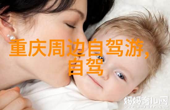 探索江苏美丽从南京紫金塔到苏州园林的旅行指南