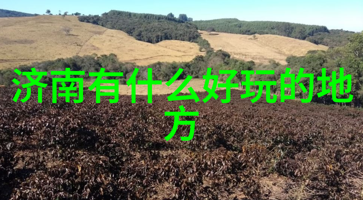 穿越时空的旅人探秘古城之谜