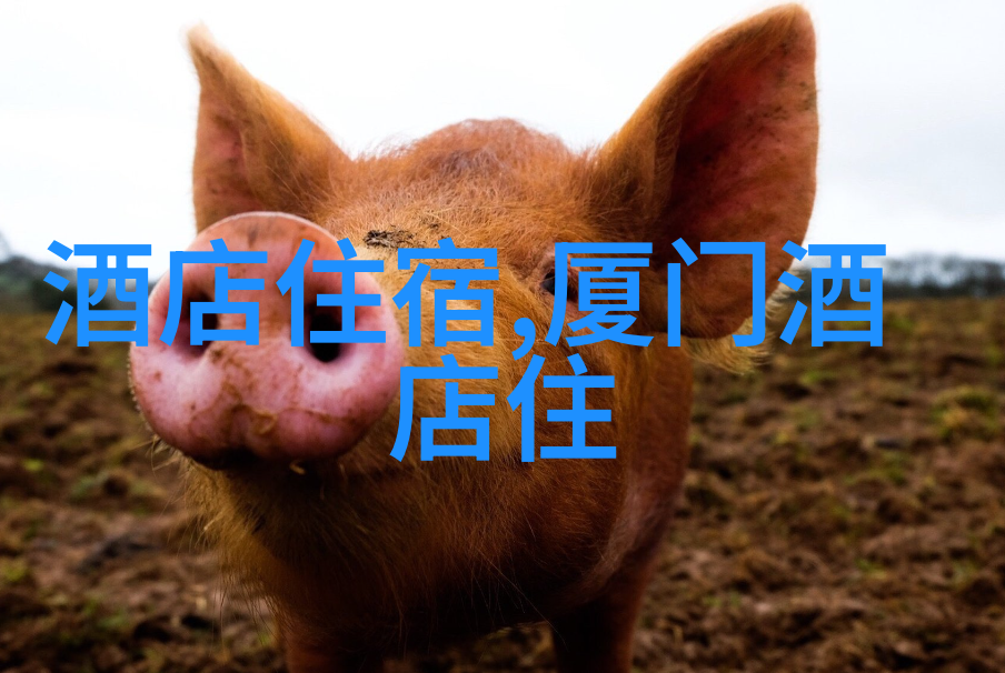 内蒙自驾游 - 蒙古草原的呼唤一段穿越时光的自助旅行