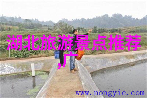 杭州周边自驾游探索丝绸之路的魅力与风景