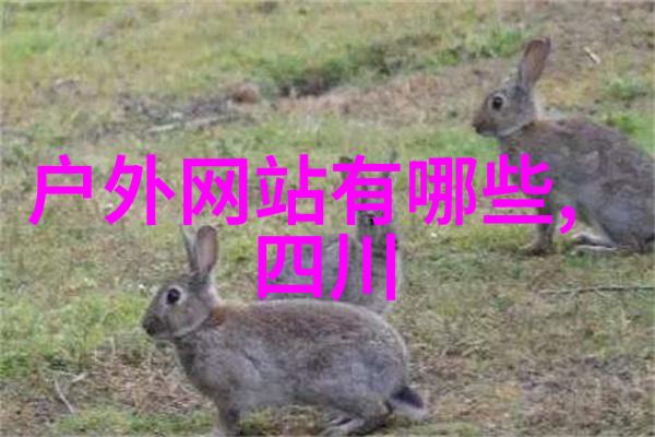 探索美丽满州里三日俄罗斯奇遇美国十大自然景观启示之旅