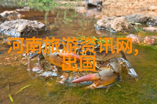 扬州旅游我在扬州的美好时光一场探索古韵与现代魅力的旅行