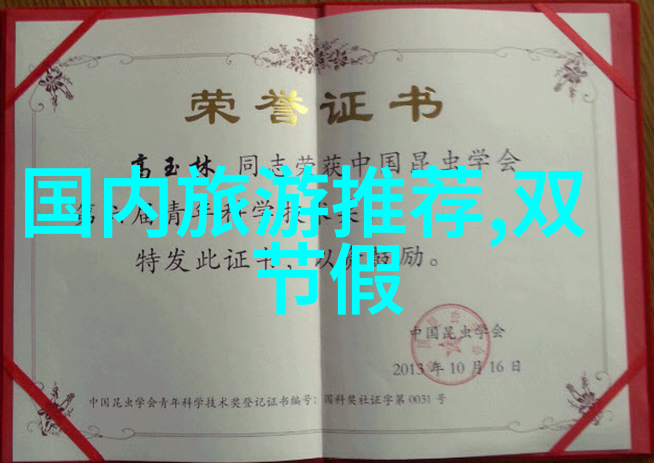 骑行装备全解析从安全服饰到高效工具的每一项必备物品