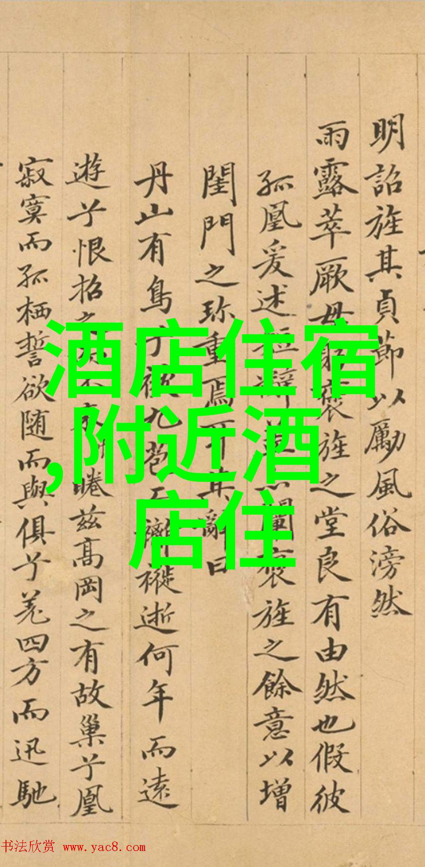西湖畔的诗意足迹探索杭州旅游的精髓