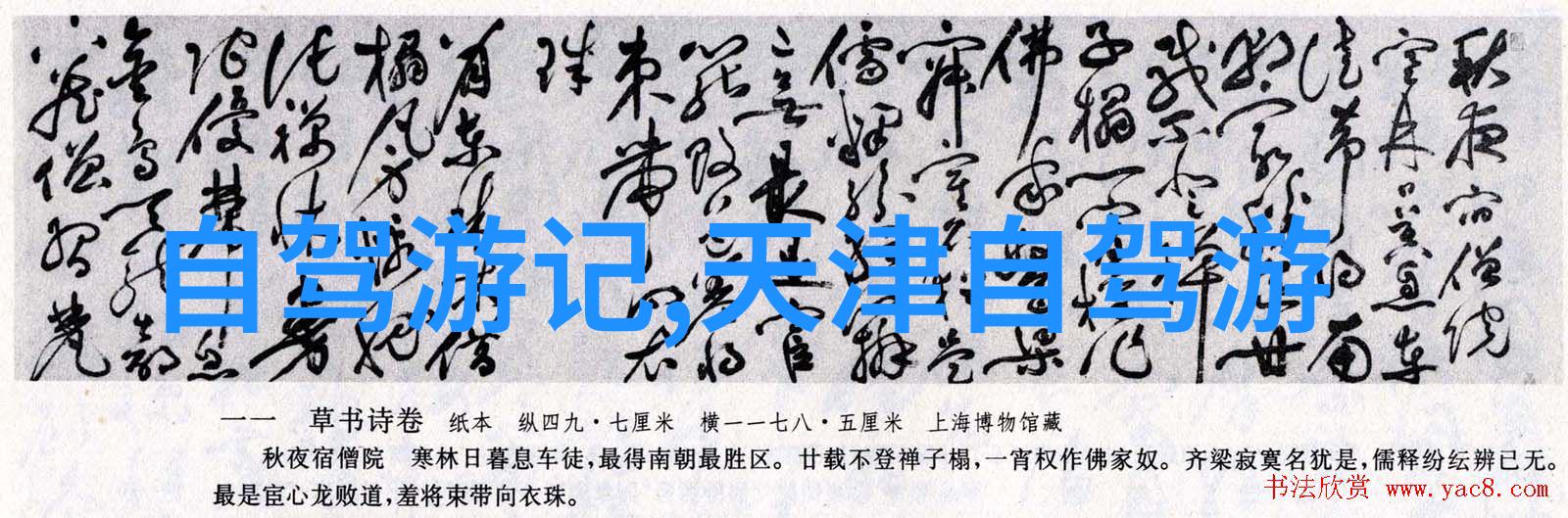 一篇游记300字我去西湖的那些日子