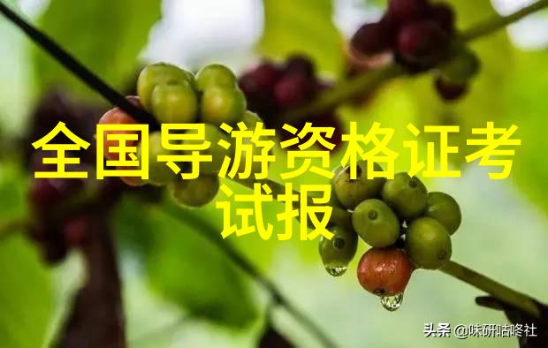 太阳沙漠和欢笑澳大利亚沙漠冒险日记
