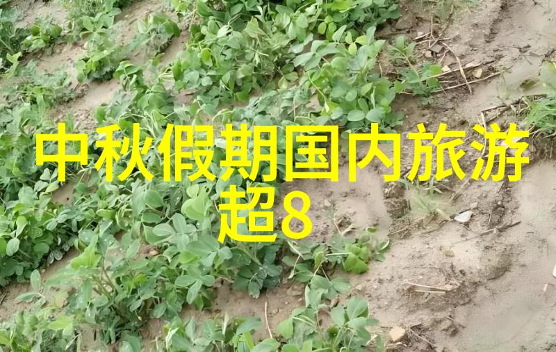 五一假期最佳自驾游胜地探秘中国美丽角落