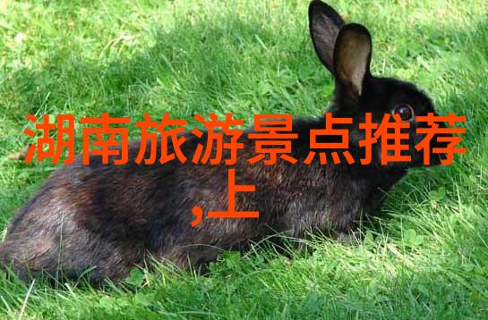 在撰写优质旅游日志时我们应该遵循哪些基本原则