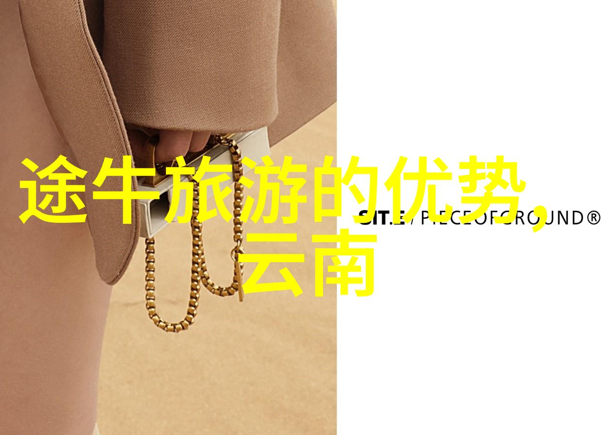 全球自行车运动员排名榜揭晓谁将成为新一代冠军