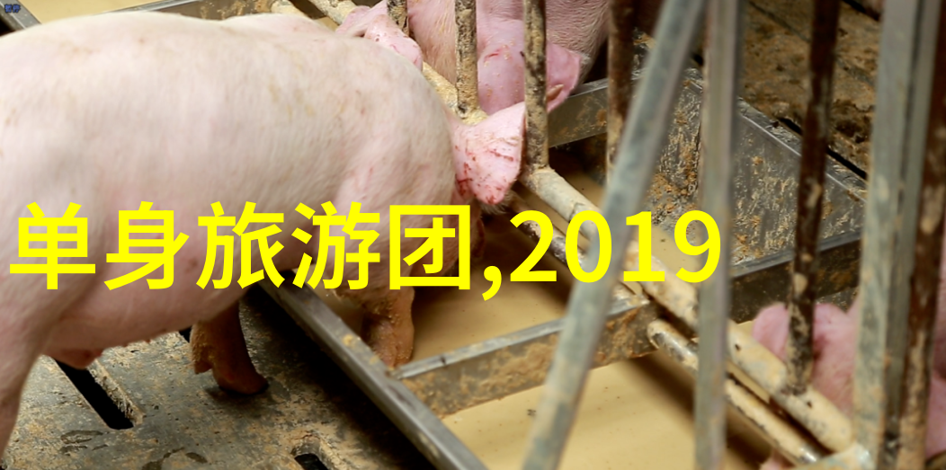 骑行是否适合所有年龄层的人群呢为什么这样说