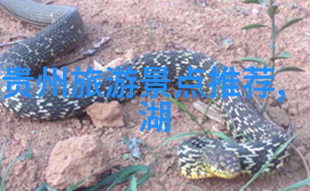 世界十大海岛旅游胜地我带你去探秘那些神奇的海岛天堂