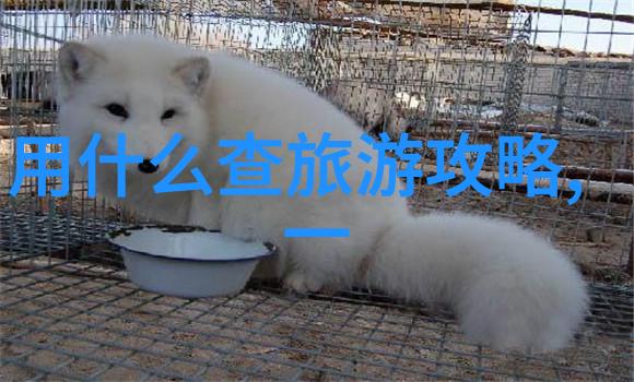 夜幕下的都市探秘揭秘隐藏在灯光下的故事