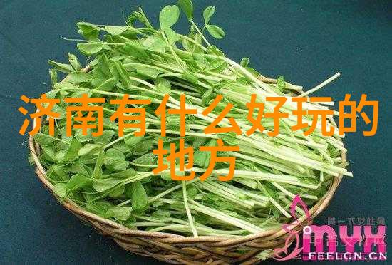 户外小游戏-探索自然100种激发灵感的户外小游戏