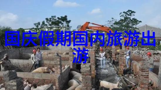 南京路美食大冒险揭秘那些只在夜幕下亮眼的美味