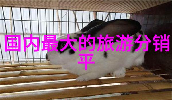 青海旅游攻略必去景点大全我要去的青海那些不得不看的好地方