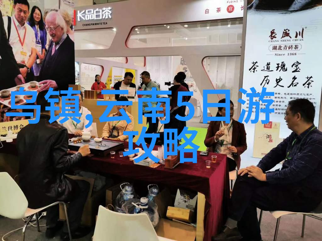 初探古都我在北京的五百字游记