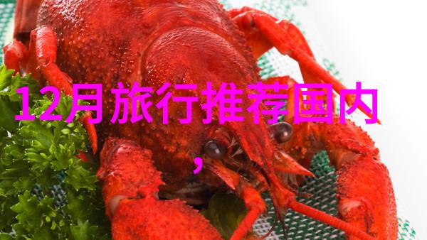 迷失在时光之城一段未解之谜的旅行记