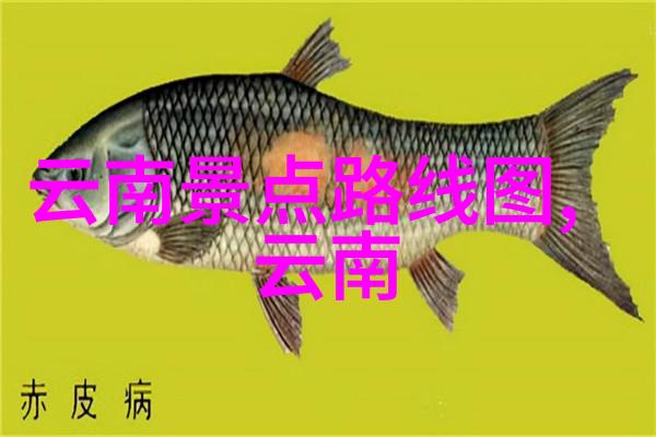 极速骑行4在哪免费下城市通勤也要时尚莫曼顿iThink Halfway皮带传动小轮折叠车