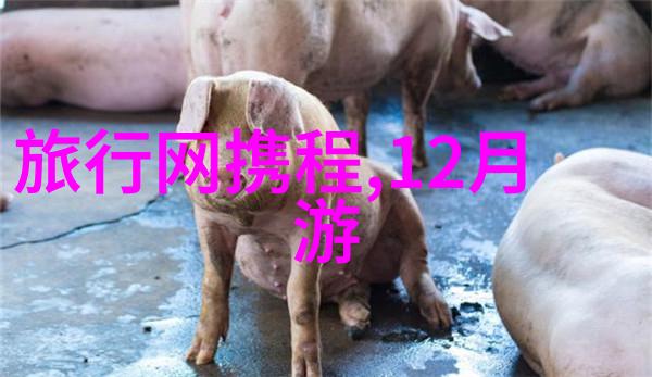故宫游记作文800字高中作文 - 紫禁城中的历史沉淀