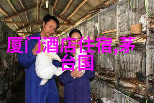美国旅游必去的城市你知道吗