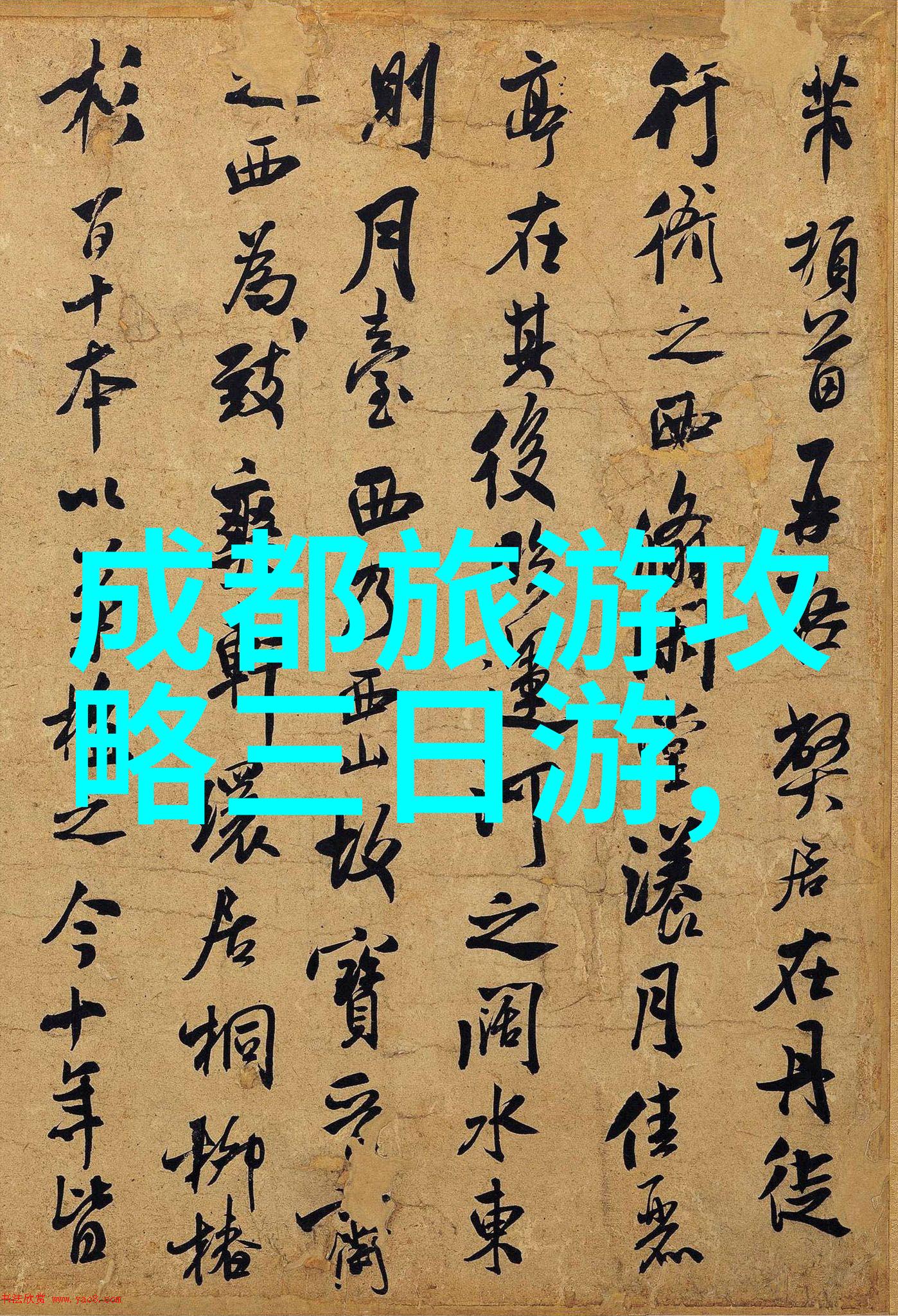 公路之旅的起点自行车选手的启航指南