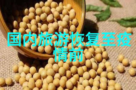京城小吃巡礼探索北京的街头美食世界